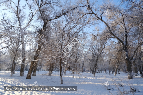 雪景