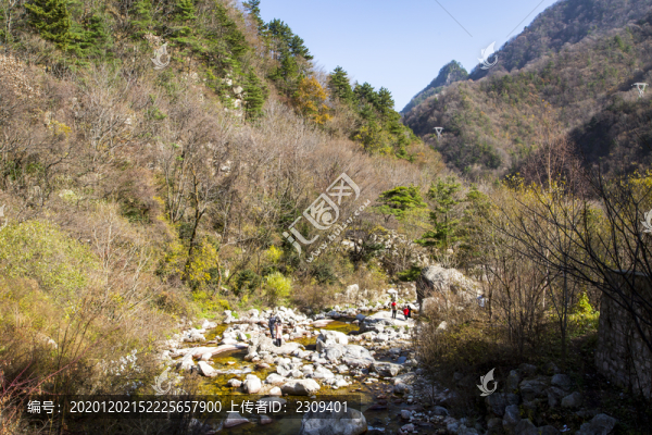 秦嶺山秋景