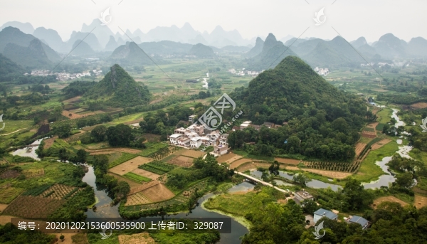 陽朔葡萄翠屏