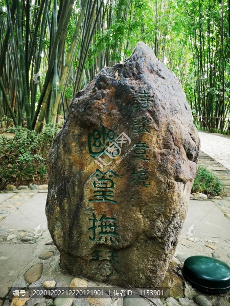 幽篁撫琴