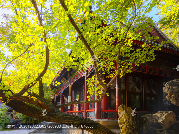 頤和園