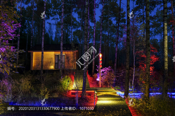 林間木屋夜景