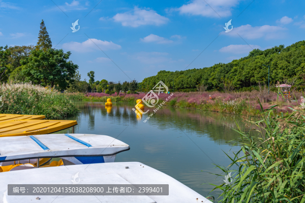 上海嘉北郊野公園風光