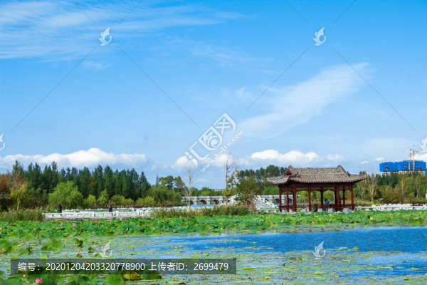濕地風(fēng)光