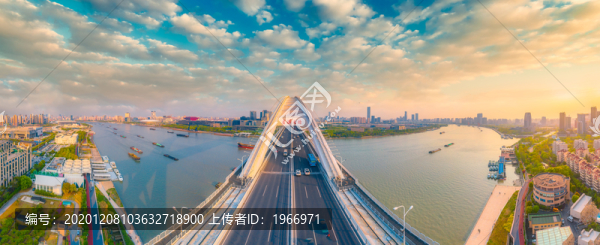 上海盧浦大橋