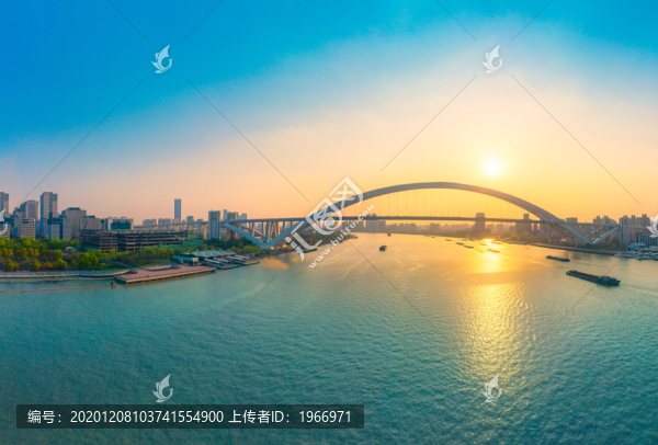 上海盧浦大橋