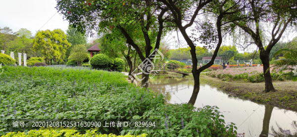 公園美景