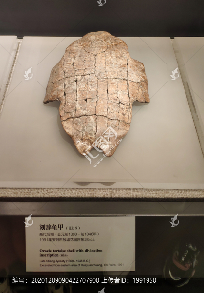 甲骨文
