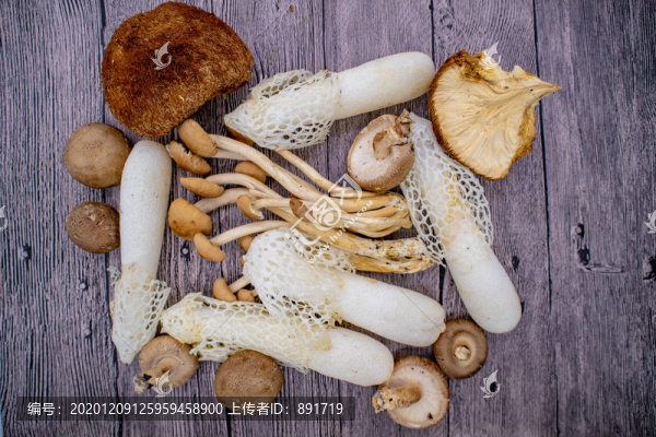 食用菌組合