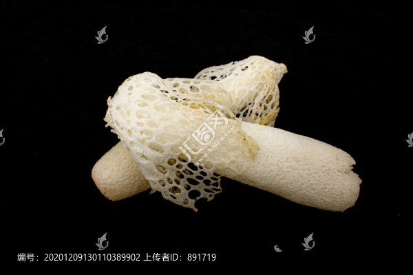 竹蓀素材