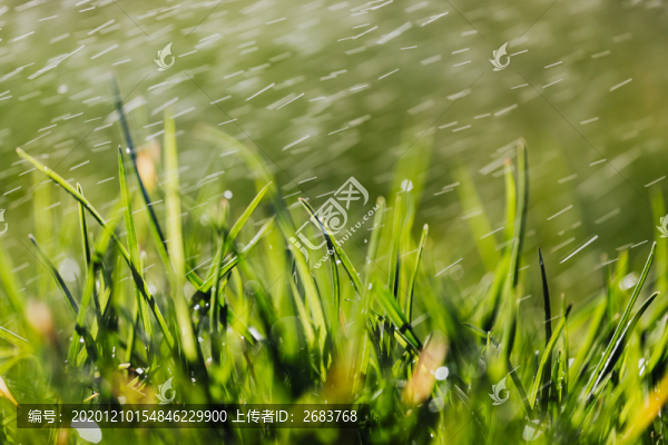 下雨
