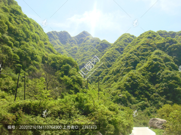 秦嶺逆光攝影