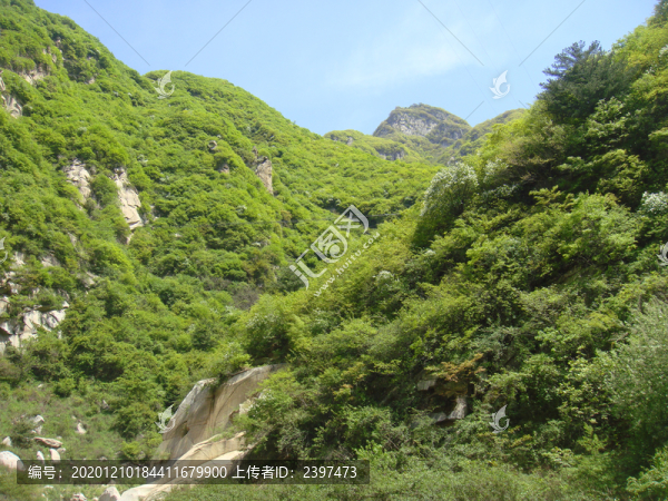 綠色山林背景素材
