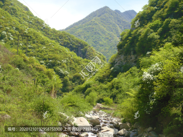 秦嶺