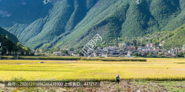 塔城