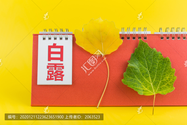 綠葉黃葉和日歷二十四節(jié)氣白露