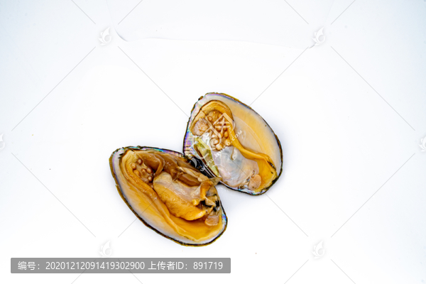 珍珠養(yǎng)殖