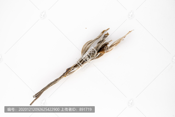 古樹茶
