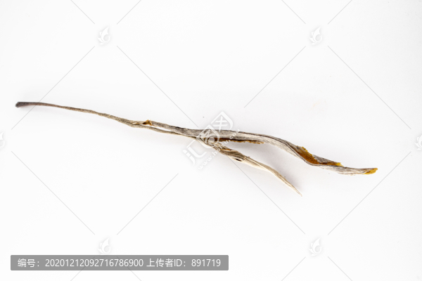 普洱茶