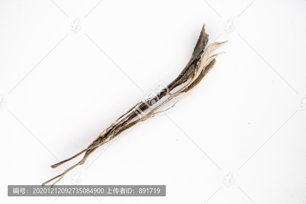 普洱茶