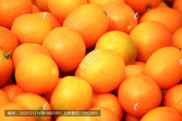 金桔