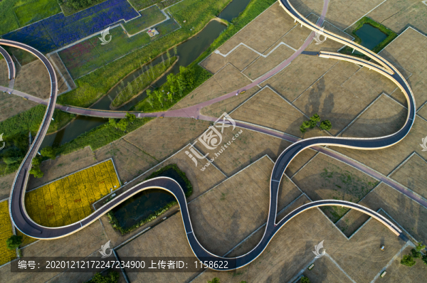 江蘇省宿遷市三臺山衲田花海