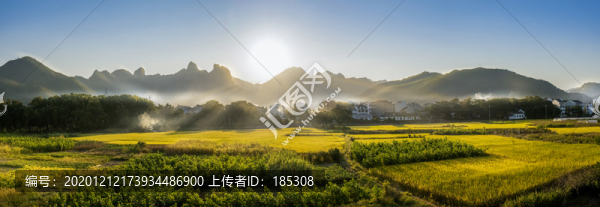 金秋田園