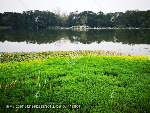 浣花溪滄浪湖