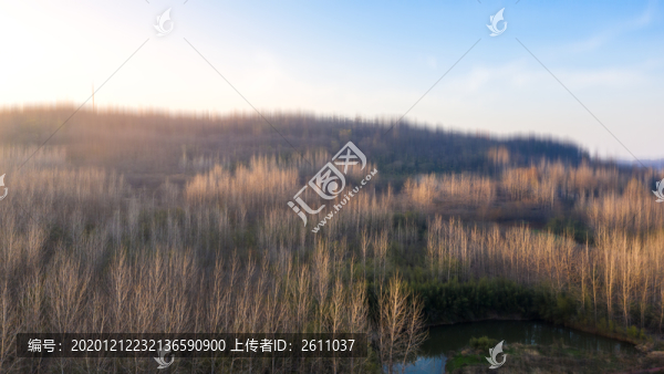 鳥瞰天泉湖