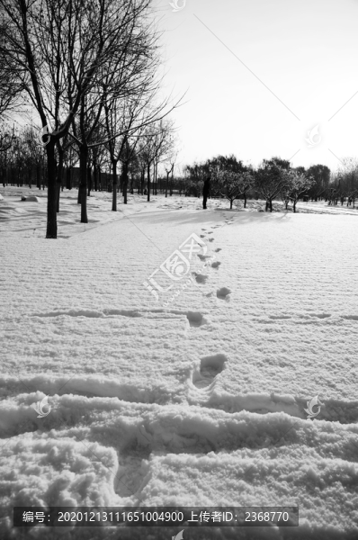 雪地腳印
