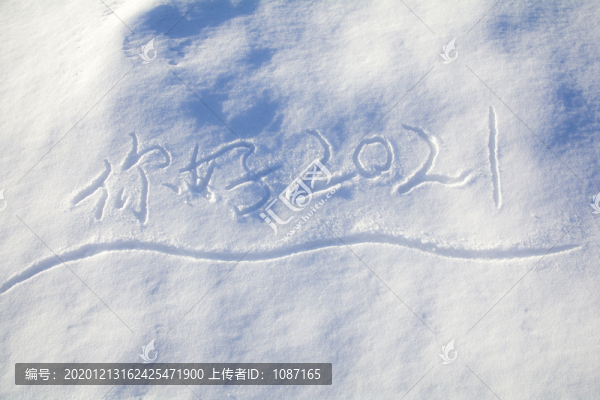 雪地你好2021