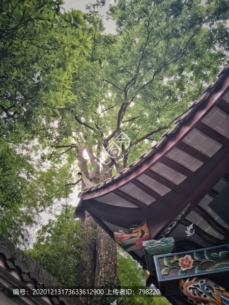 九華山風(fēng)景