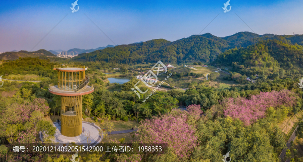 中山金鐘湖公園