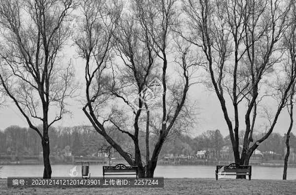 公園湖泊