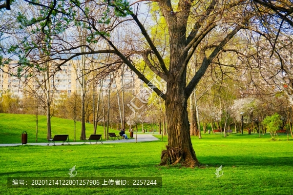 公園綠地