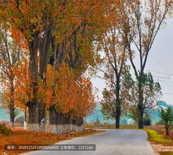 山間公路