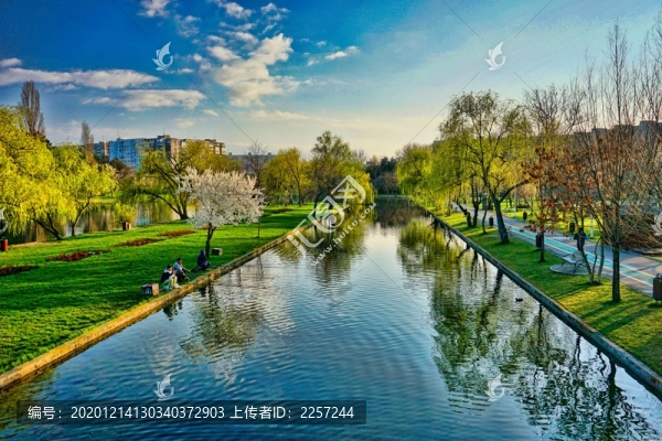 公園湖畔