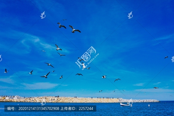 海岸風(fēng)光
