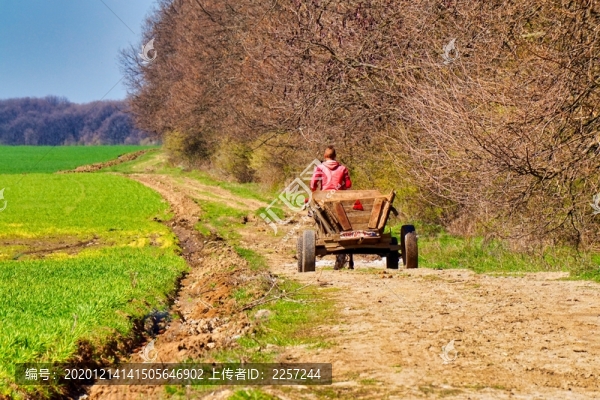 田間道路