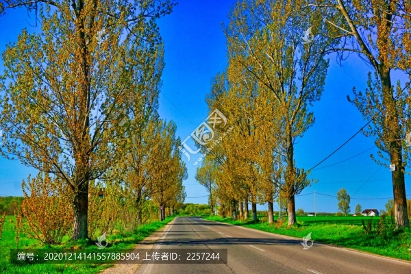 田間公路