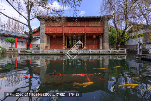 麗江木府木家院園林池塘鯉魚