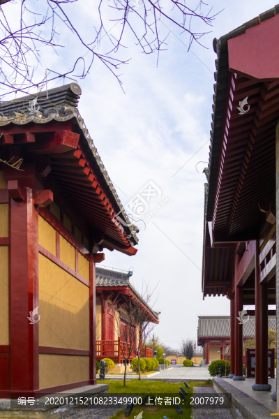 周原遺址博物館