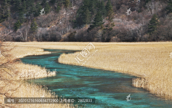 九寨溝孔雀河