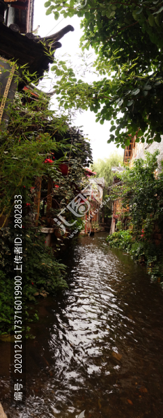 麗江古城