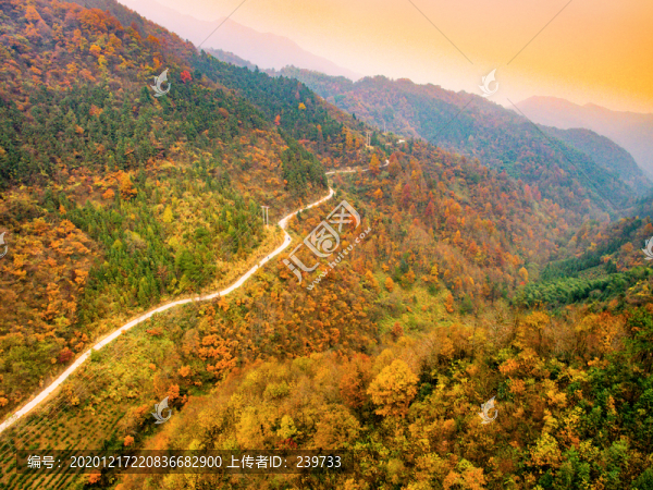 石臺天路