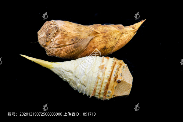 冬筍