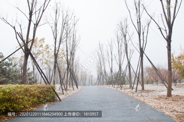 惠水灣森林公園雪景