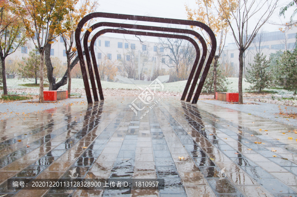 下雪后的城市公園