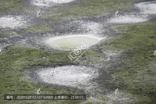 魚塘水潭
