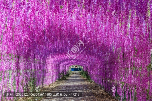 花廊